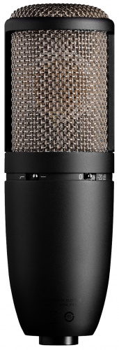 AKG P420 микрофон конденсаторный, 3 диагр., 2 мембраны 1', 20-20000Гц, 28мВ/Па, SPL135/155дБ фото 2