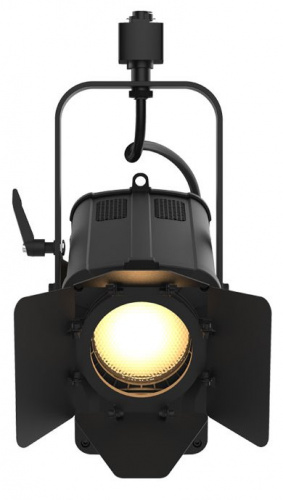 CHAUVET-PRO Ovation FTD-55WW светодиодный прожектор направленного света с линзой Френеля (диммируемый, без DMX) фото 2